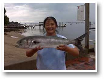 New England FIshing Charters LLC