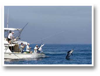 Sailfish Bay Lodge