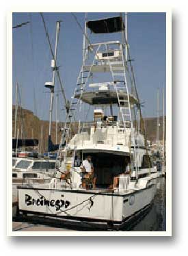 Team Bocinegro Big Game Fishing Charters