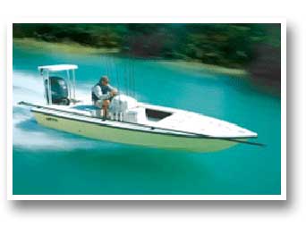 Tropic Bay Guides, Inc. Fishign & Photography Adventures