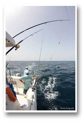 WaterWorld Marine LLC