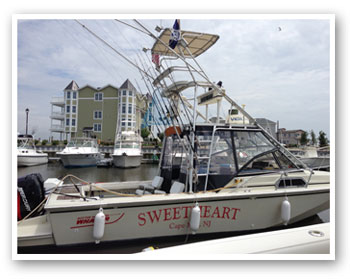 CC Charters, LLC