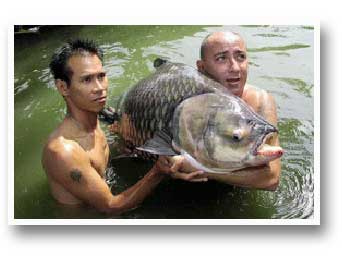 Fishing Adventures Thailand