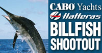 Gold Coast Game Fishing Club Cabo Hatteras Shootout logo