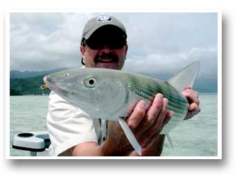 Hawaii On The Fly