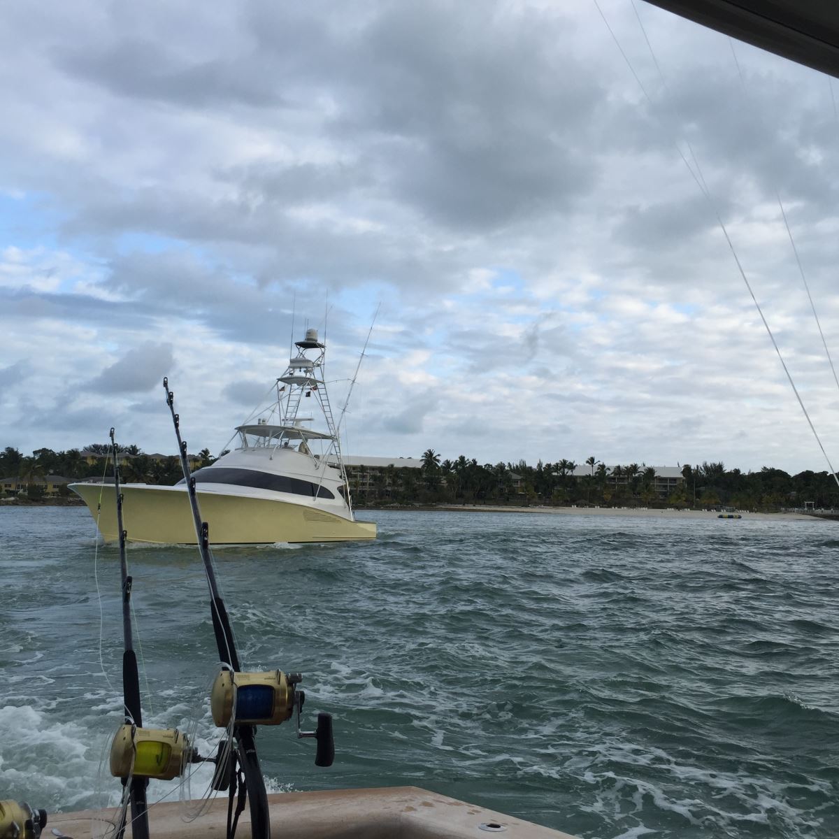 Sailfish caught during 2015 Custom Shootout