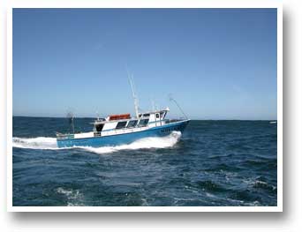 Huli Cat Sportfishing & Charter Boat