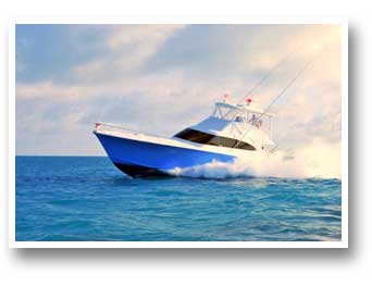 Mako Charters
