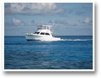 Playmate Charters Ltd.