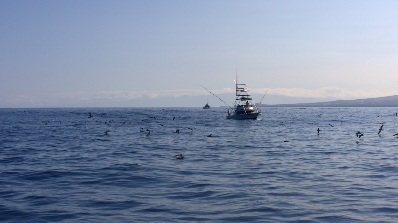 boat in 2015 HIBT