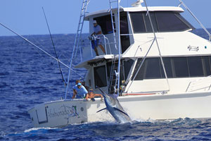 A marlin leaps for Team Afishionado.