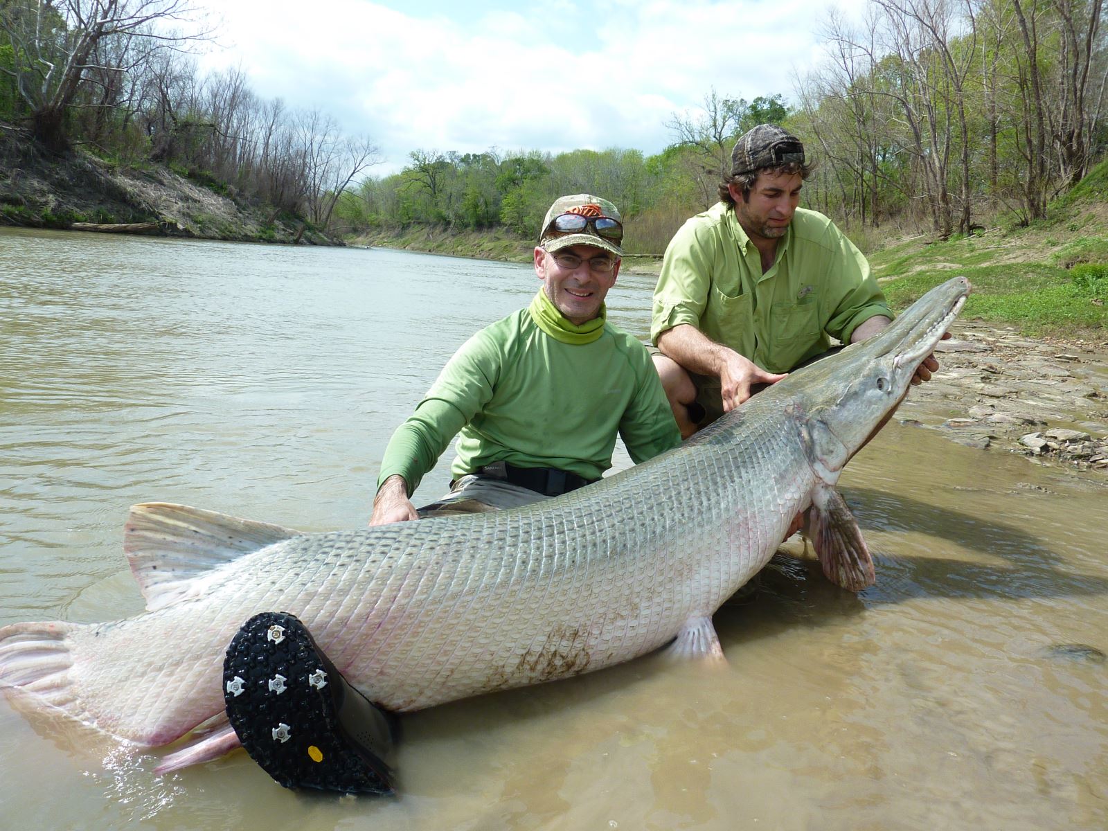 Edisto Reds