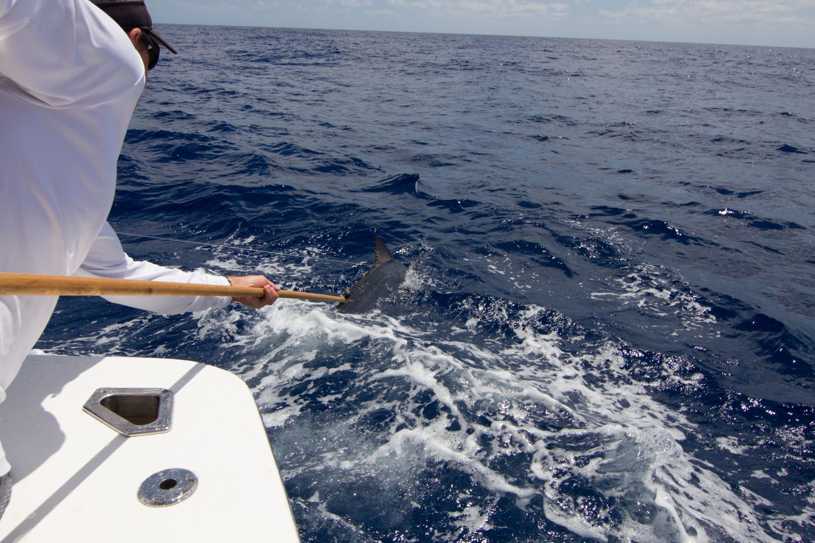 28th Lizard Island Black Marlin Classic in Cooktown, Australia